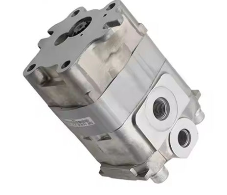 মিনি এক্সক্যাভেটর E305 CAT305 এর জন্য Excavator Hydraulic Gear Pump 290-3628 29036285
